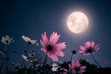 Load image into Gallery viewer, Online/Virtual Mediation Class - Full Pink Moon
